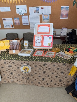 SBA display